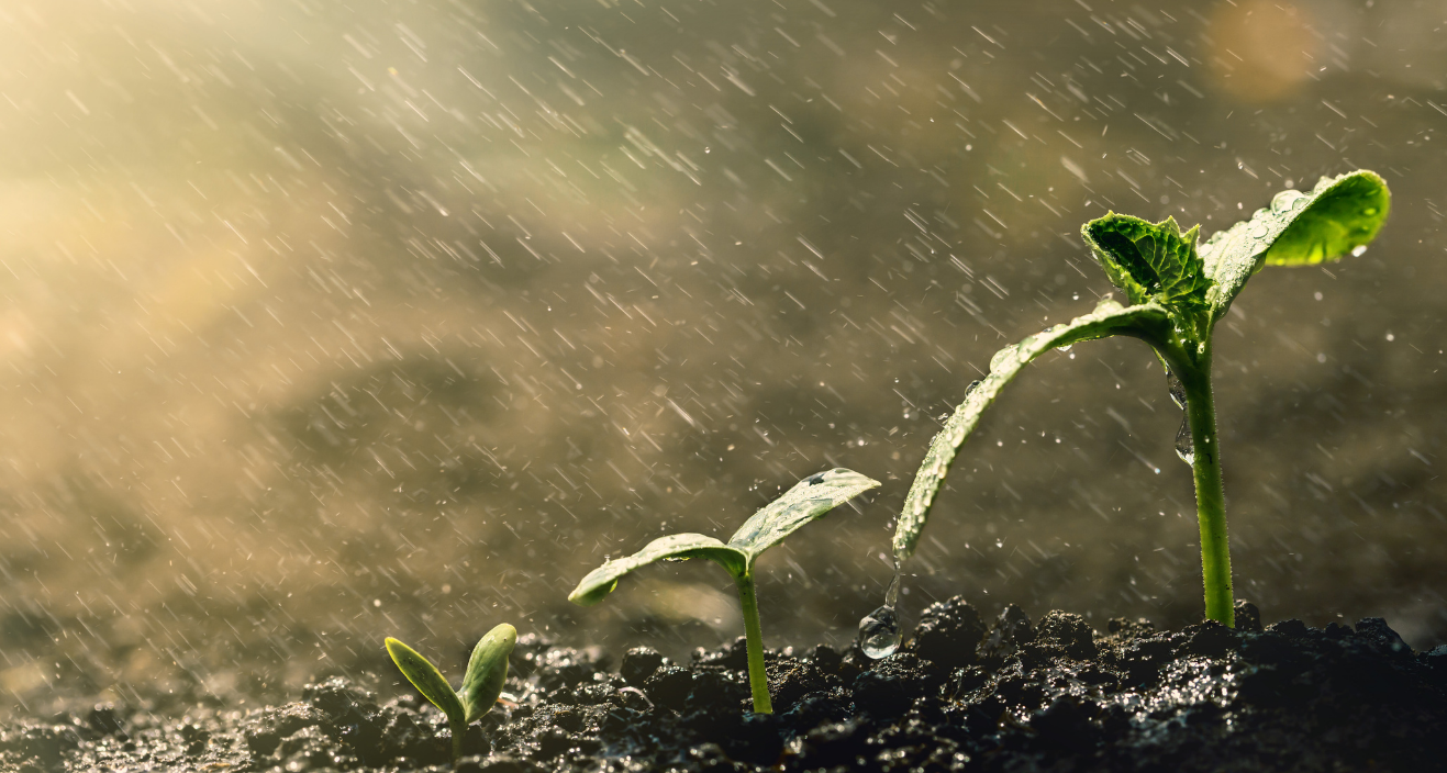 Upland | Future-Proofing Growth: balancing Innovation and Diversification