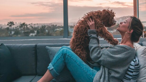 roberto-nickson-_JGVVEfbTVQ-unspet 6plash