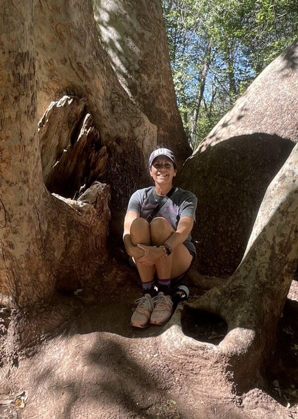 Upland | Mary Jo Hardy